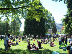 Tacoma Hempfest